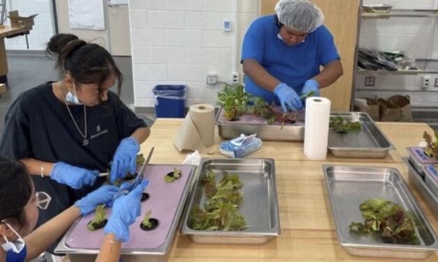 A classroom oasis: Houston high school students learn about agriculture, food security and climate change in a controlled environment